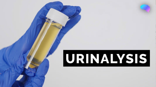 Urinalysis Test